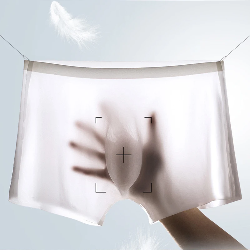 10 Pcs/Lot Men's Summer Ice Si - Multi Pack Underwear avis et prix