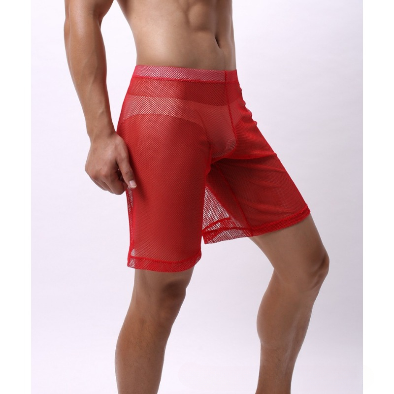 Low Rise Mesh Erotic Underwear - Trunk Breathable Men avis et prix