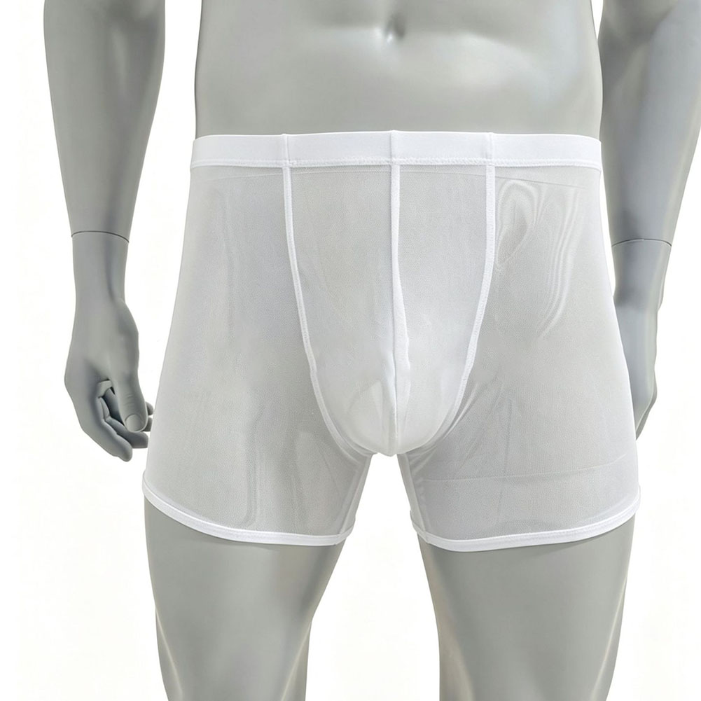 Men Mesh See-through Ultra-thi - Long Leg Trunk Men avis et prix