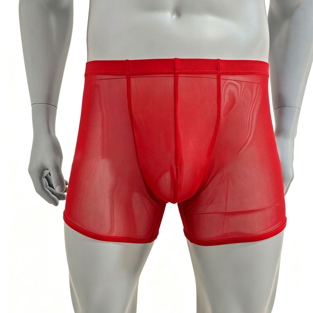 Men Mesh See-through Ultra-thi - Long Leg Trunk Men avis et prix