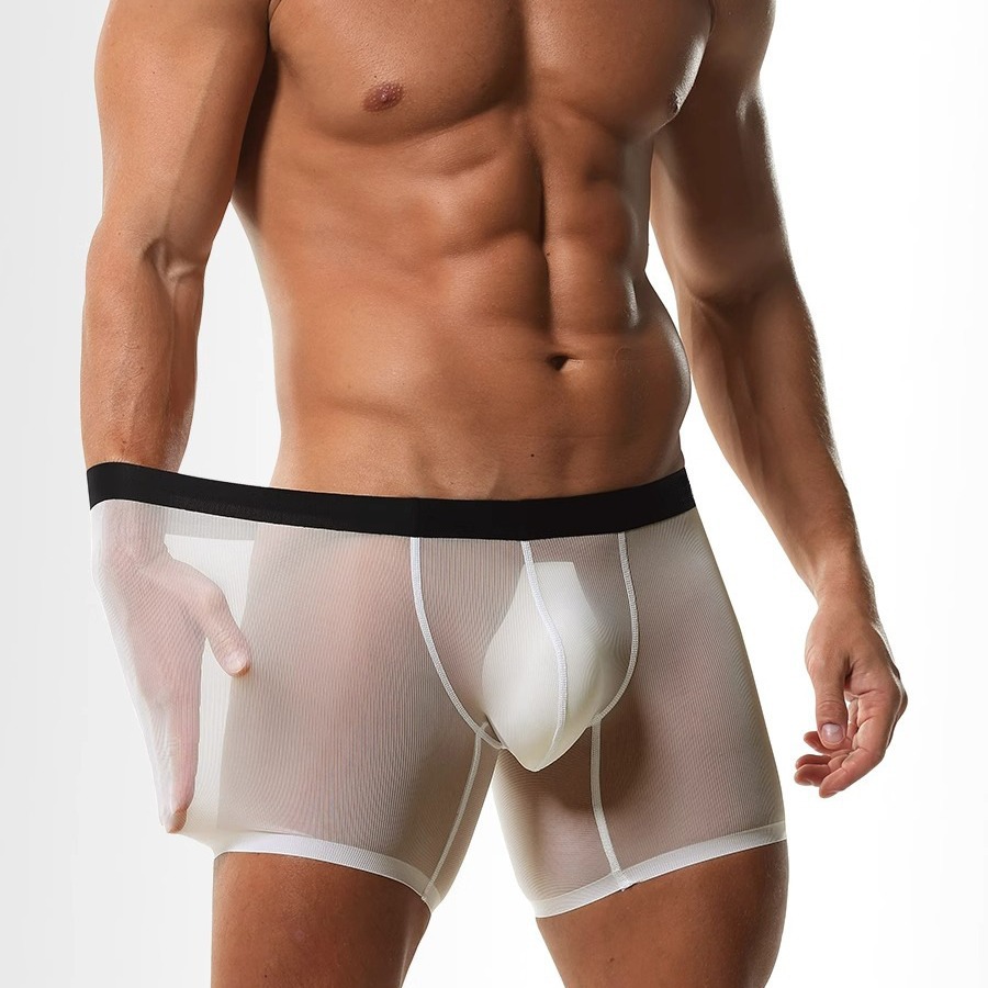 Mens Long Leg Boxer Shorts Ice - Long Leg Trunk Men avis et prix