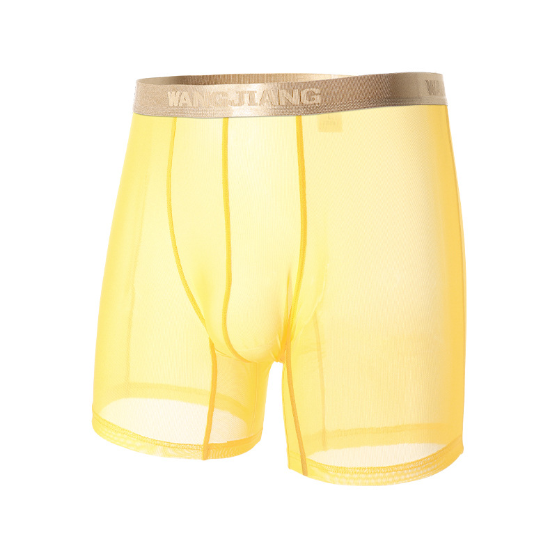Wangjiang Men's Mesh Boxer Sho - Mesh Sport Boxer avis et prix